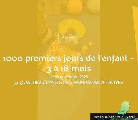 1000 premiers jours de l&rsquo;enfant – 3 à 18 mois - 0