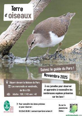 Sorties « Terre d’oiseaux » - 0