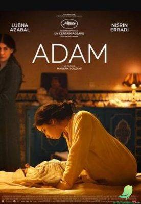Cinéma: Adam - 0