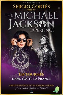 The Michael Jackson Experience - 0