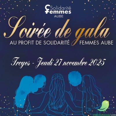 Gala caritatif de la Ville de Troyes au profit de Solidarité Femmes Aube - 0