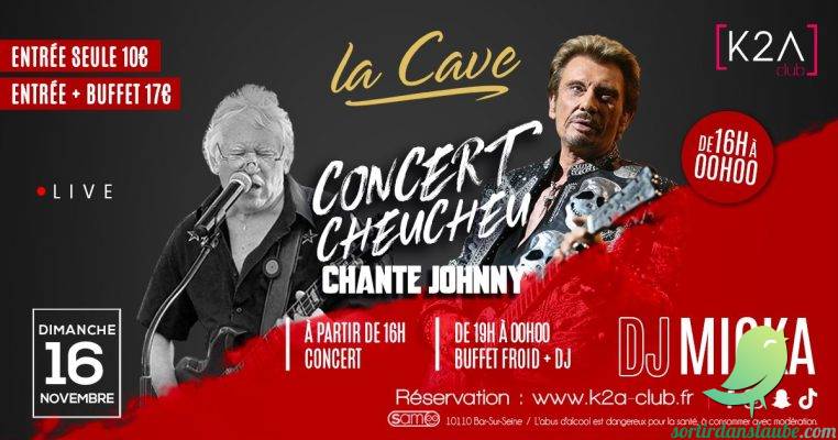 Cheucheu chante Johnny - 0
