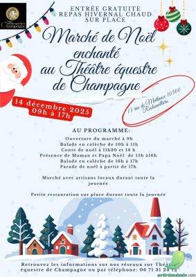 Marché de Noel au Théâtre Equestre - 0