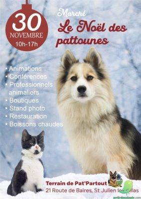 Marché de Noel des pattounes - 0