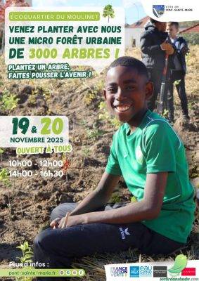 Plantation de la micro-forêt urbaine - 0