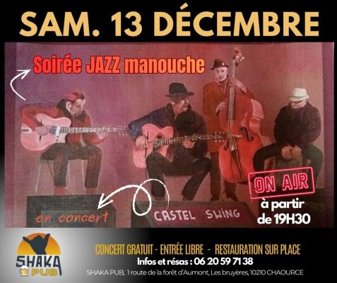 JAZZ manouche en concert live - 0