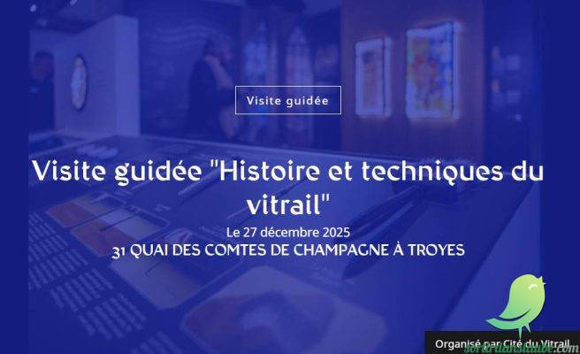 Visite guidée « Histoire et techniques du vitrail » - 0