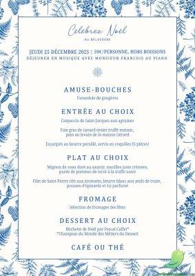 Repas de Noel avec pianiste - 0