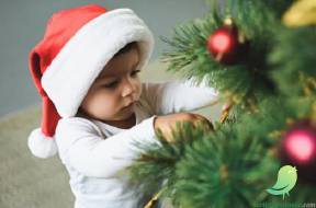 Le Noël des tout-petits - 0