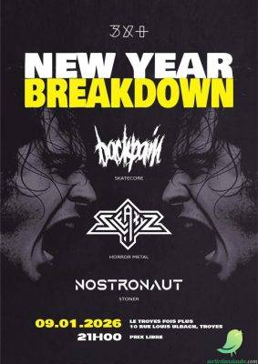 Concert New Year Breakdown - 0