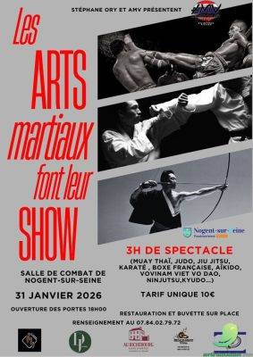 Les art martiaux font leur show - 0