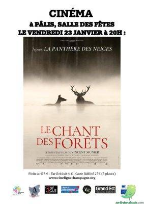 Cinéma: le chant des forêts - 0