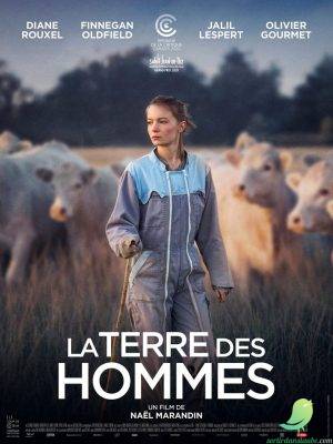 Cinéma: la terre des hommes - 0
