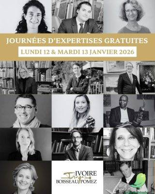 Journées d&rsquo;expertises gratuites - 0