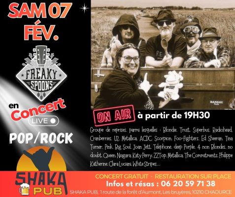 Les FREAKY SPOONS en concert - 0