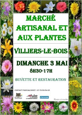 Marché artisanal et aux plantes - 0
