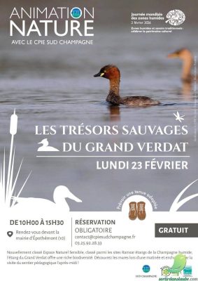 Les trésors sauvages du Grand Verdat - 0