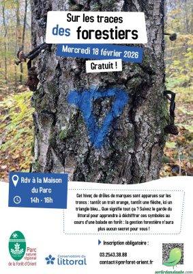 Sortie nature: Sur les traces des forestiers - 0