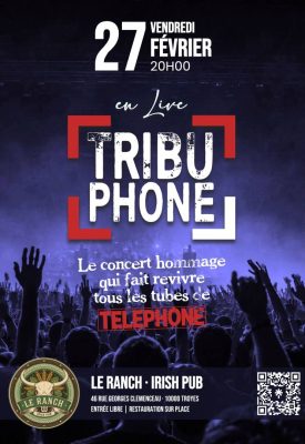 Concert hommage au groupe Téléphone - 0