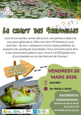 Le chant des Grenouilles - 0