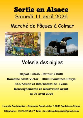 Sortie en Alsace : Colmar & La Volerie des Aigles - 0