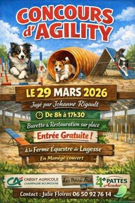 Concours Agilty - 0