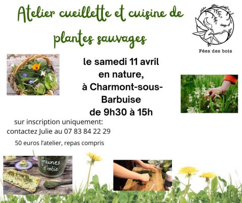 Cueillette et cuisine de plantes sauvages - 0