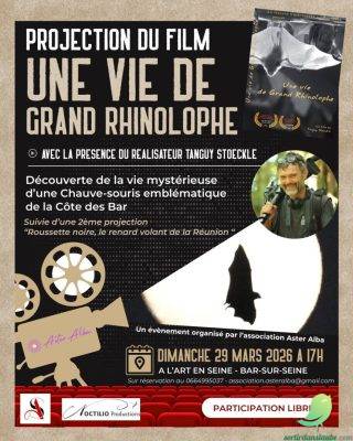 Projection du film sur les Chauve Souris - 0