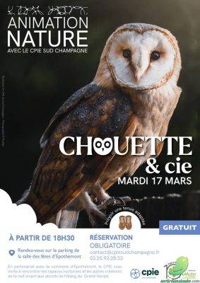 Sortie nature nocturne - 0