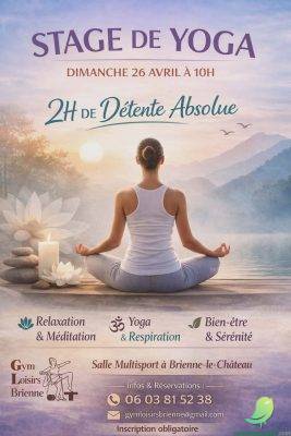 Stage de Yoga - 0