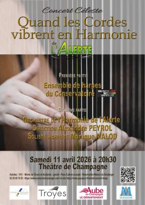 Concert Céleste: Quand les Cordes vibrent en Harmonie - 0