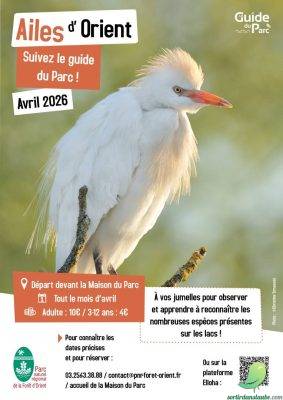 Sortie nature: Ailes d’Orient - 0