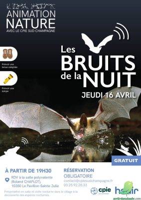 Les bruits de la nuit - 0