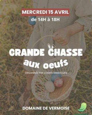 Chasse aux oeufs - 0