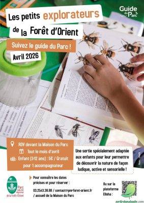 Sortie nature: Les petits explorateurs de la Forêt d’Orient  - 0