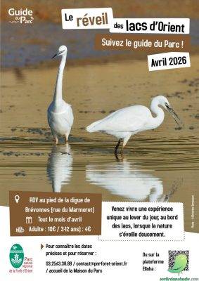 Sortie nature: Le réveil des lacs d’Orient - 0