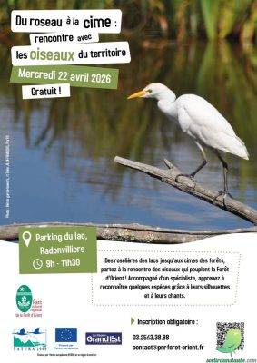 Du roseau à la cime : rencontre avec les oiseaux du territoire - 0