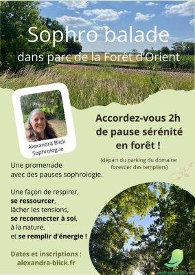 Sophro balade en forêt - 0
