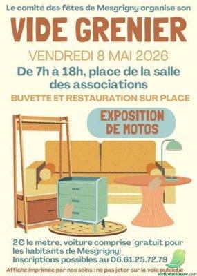 Vide grenier: Mesgrigny - 0