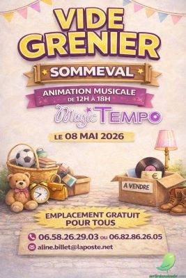Vide greniers et animation musicale Magic Tempo - 0
