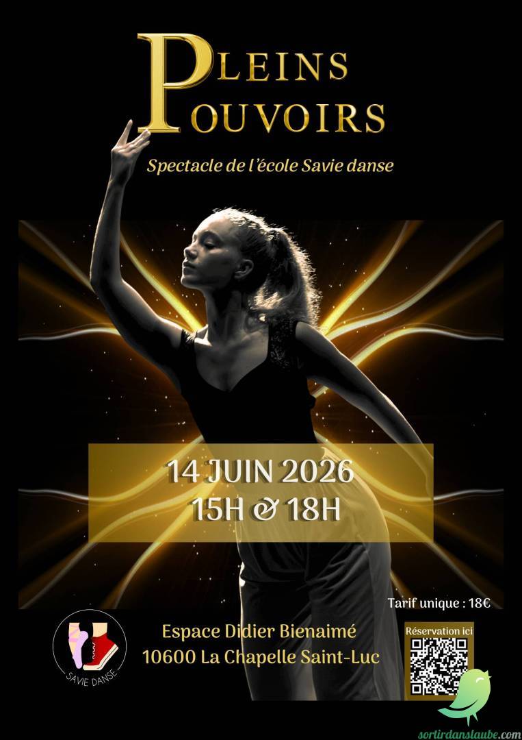 Spectacle de Danse Pleins Pouvoirs - 0