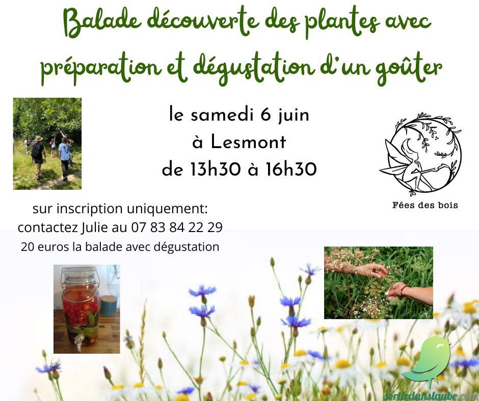 Balade plantes sauvages et conception d&rsquo;un goûter gourmand - 0