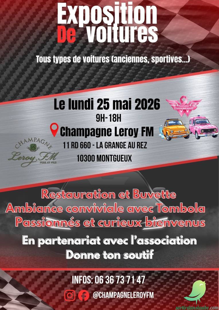 Exposition de voitures - 0