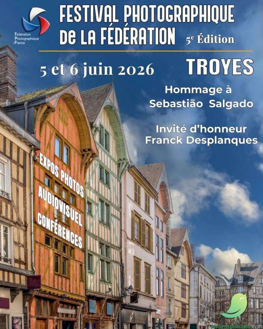 Festival de la photographie - 0
