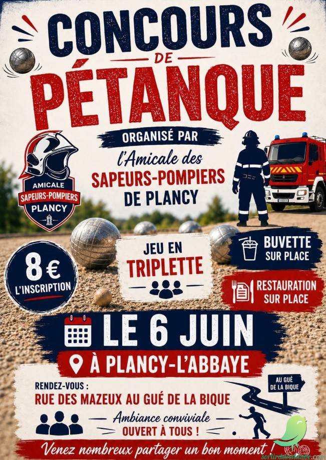 Concours pétanque - 0