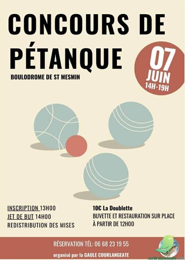 Concours de pétanque - 0