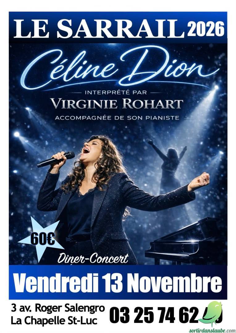 Soirée dîner concert Céline Dion avec Virginie Rohart - 0