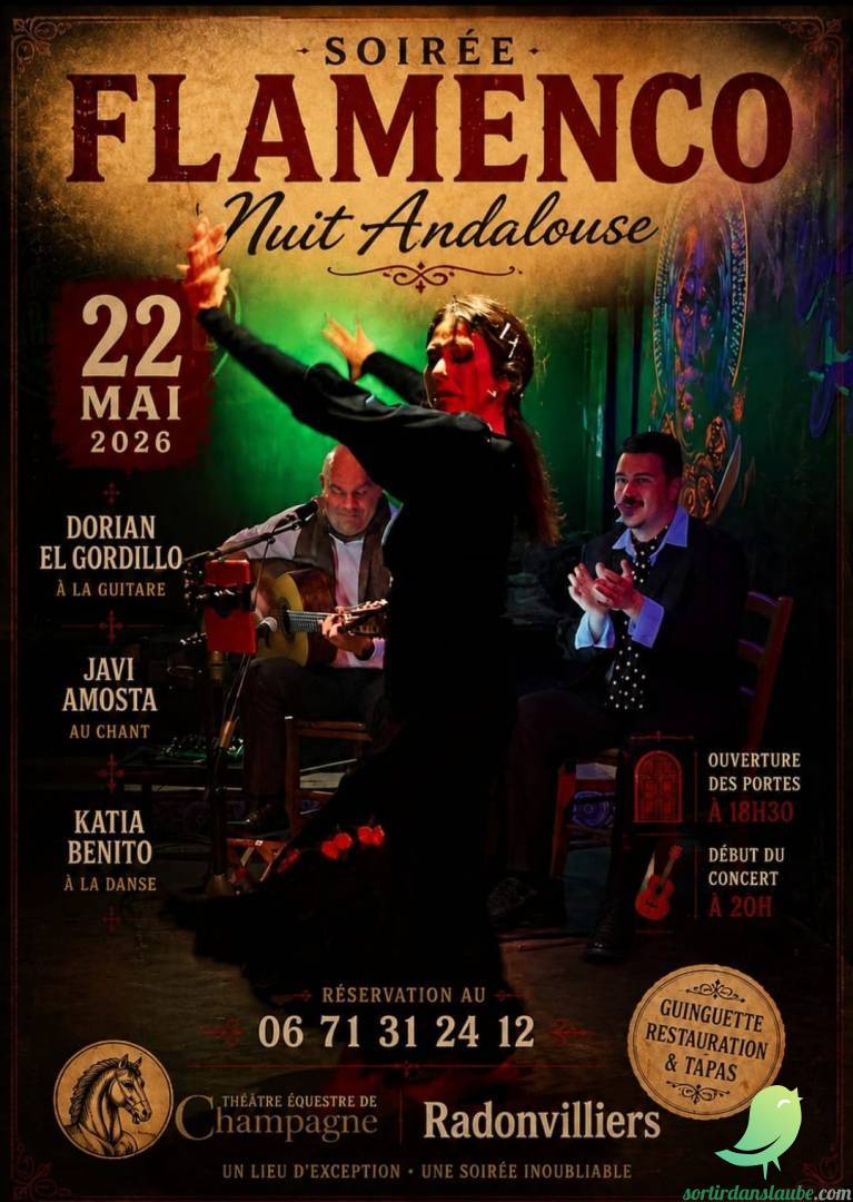 Soirée Flamenco: Nuit Andalouse - 0