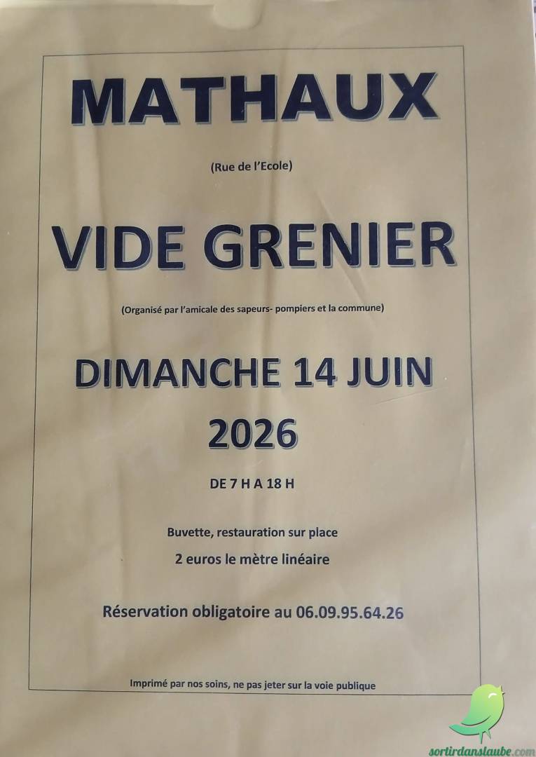 Vide grenier: Mathaux - 0