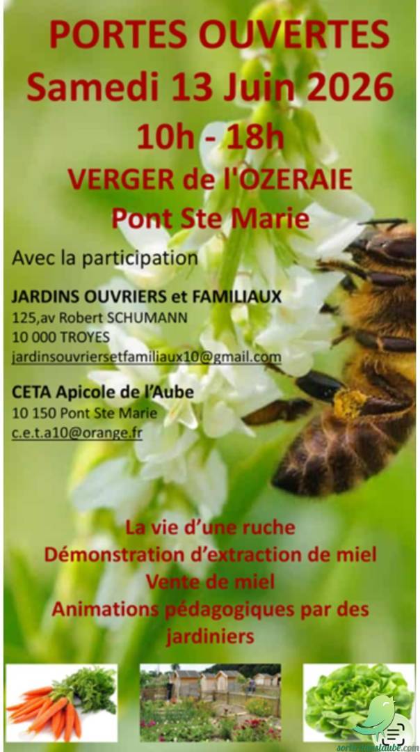 Porte ouverte au Rucher CETA - 0